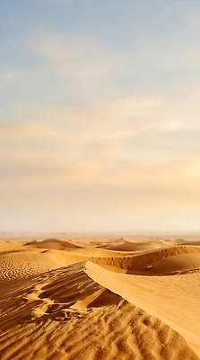 JPG 편집이미지 모래 자연 하늘 풍경 사막 언덕 편집실사 AI포토 AI콘텐츠 CG 생태계 파일형식