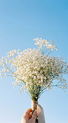 JPG 식물 편집이미지 손 꽃 꽃다발 자연 하늘 의료성형뷰티 편집실사 AI인물포토 AI콘텐츠 신체부위 CG 생태계 파일형식 AI포토