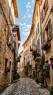 JPG 편집이미지 꽃 여행 하늘 거리 풍경 건물 장식 햇빛 마을 도시 골목길 도보 편집실사 AI포토 AI콘텐츠 식물 건축물 길 빛 CG 파일형식