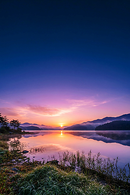 JPG 나무 편집이미지 호수 자연 하늘 산 풍경 빛 태양 반사 저녁 조용 편집실사 AI컴퓨터그래픽 AI콘텐츠 자연요소 식물 밤 야간 CG 생태계 파일형식