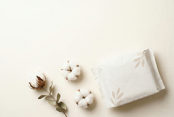 JPG 식물 편집이미지 디자인 재료 포장지 순수 오브젝트 유기농 목화꽃 밝은색 생리대 목화솜 편집실사 AI포토 AI콘텐츠 웰빙 꽃 컨셉 포장 솜 CG 여성용품 파일형식