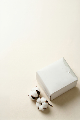 JPG 식물 편집이미지 디자인 자연 상자 깨끗함 흰색 오브젝트 유기농 목화꽃 생리대 목화솜 편집실사 AI포토 AI콘텐츠 웰빙 꽃 컬러 컨셉 솜 CG 생태계 여성용품 파일형식