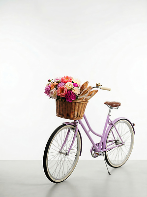 JPG 편집이미지 라이프스타일 꽃 실내 일상 바구니 자전거 바게트 오브젝트 편집실사 AI컴퓨터그래픽 AI콘텐츠 식물 빵 내부 라이프 생활 바이크 CG 파일형식