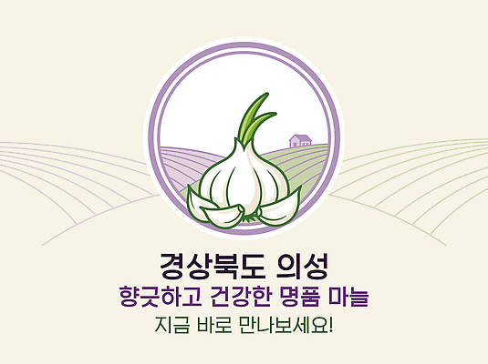 농업 일러스트 마늘 농작물 경상북도 특산물 의성 국내일러스트 AI파일 산업 채소 경상도 파일형식 벡터 한국 아시아 나라