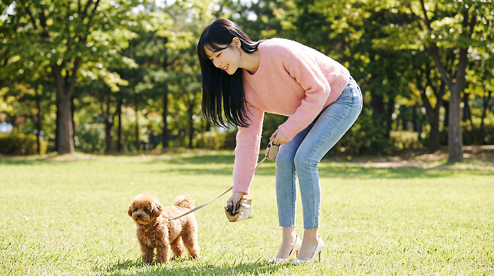 JPG 편집이미지 공원 여자 자연 안전 잔디 야외 친구 반려동물 산책 개 스웨터 즐거움 목줄 배변봉투 의료성형뷰티 편집실사 AI인물포토 AI콘텐츠 식물 동물 공공시설 감정 상의 포유류 관계 휴식 봉투 사람 CG 생태계 파일형식 반려용품 AI포토