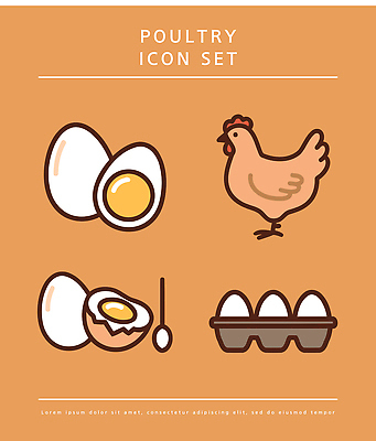 동물 음식 일러스트 요리 농장 계란 닭 삶은계란 계란판 국내일러스트 AI파일 농업 조류 알 계란요리 파일형식 벡터
