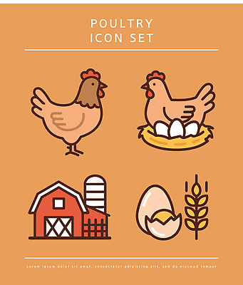 동물 농업 일러스트 농작물 농장 계란 닭 둥지 축산업 생태계 국내일러스트 AI파일 산업 조류 알 파일형식 벡터