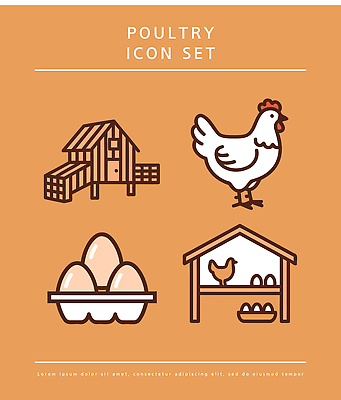 동물 농업 일러스트 자연 농장 계란 닭 구조물 축산업 유기농 닭장 국내일러스트 AI파일 웰빙 건축 산업 조류 알 생태계 파일형식 벡터