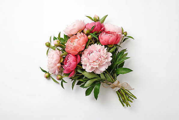 JPG 식물 편집이미지 꽃잎 꽃 줄기 꽃다발 탁자 생명 장식 모란 뷰티풀 편집실사 AI포토 AI콘텐츠 가구 CG 파일형식