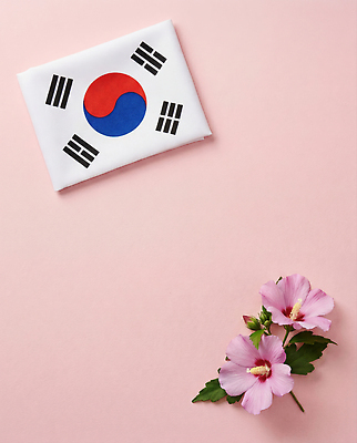 JPG 편집이미지 꽃 상징 분홍색 잎 한국 장식 국기 태극기 무궁화 호국보훈의달 편집실사 AI포토 AI콘텐츠 식물 아시아 컬러 6월 CG 파일형식 나라 날짜