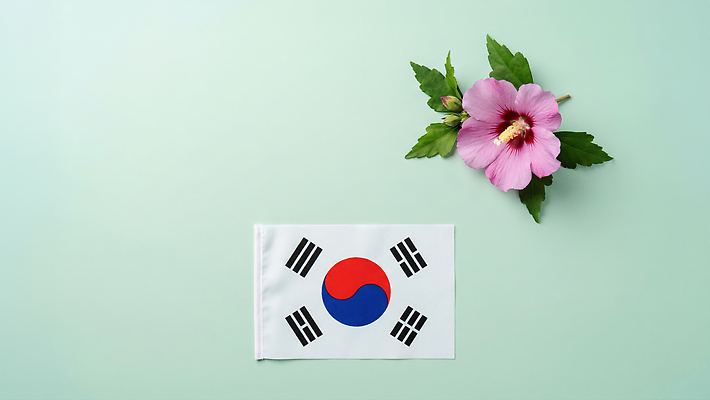 JPG 편집이미지 꽃 상징 잎 한국 장식 초록색 국기 태극기 무궁화 호국보훈의달 편집실사 AI포토 AI콘텐츠 식물 아시아 컬러 6월 CG 파일형식 나라 날짜