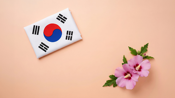 JPG 식물 편집이미지 꽃잎 꽃 상징 분홍색 잎 한국 국기 태극기 무궁화 호국보훈의달 편집실사 AI포토 AI콘텐츠 아시아 컬러 6월 CG 파일형식 나라 날짜