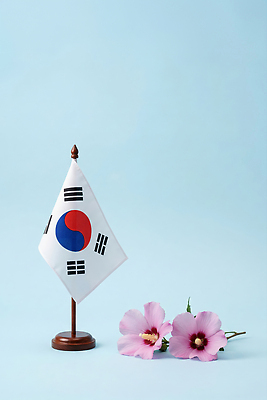 JPG 편집이미지 꽃 상징 잎 한국 장식 파란색 국기 태극기 무궁화 호국보훈의달 편집실사 AI포토 AI콘텐츠 식물 아시아 컬러 6월 CG 파일형식 나라 날짜