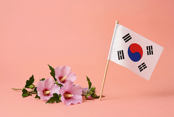 JPG 편집이미지 꽃 상징 분홍색 잎 한국 국기 태극기 무궁화 호국보훈의달 편집실사 AI포토 AI콘텐츠 식물 아시아 컬러 6월 CG 파일형식 나라 날짜