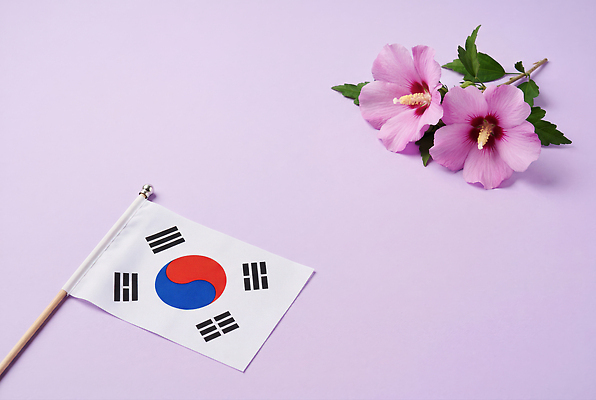 JPG 식물 편집이미지 꽃 상징 잎 한국 장식 보라색 국기 태극기 무궁화 호국보훈의달 편집실사 AI포토 AI콘텐츠 아시아 컬러 6월 CG 파일형식 나라 날짜
