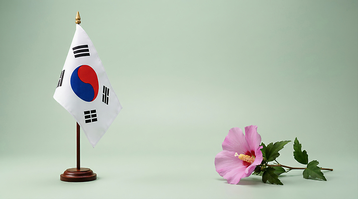 JPG 식물 편집이미지 꽃 상징 잎 한국 국기 태극기 무궁화 호국보훈의달 편집실사 AI포토 AI콘텐츠 아시아 6월 CG 파일형식 나라 날짜