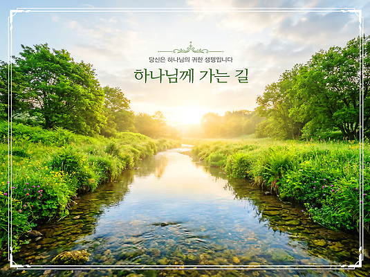 PSD 나무 편집이미지 자연 하늘 풍경 초록색 물 강 태양 산책 하나님 신 숲 이미지편집 자연요소 식물 종교 컬러 휴식 생태계 파일형식