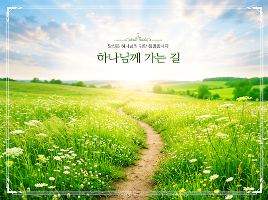 PSD 나무 편집이미지 꽃 길 여행 자연 하늘 생명 풍경 초원 초록색 햇빛 맑음 산책 풀 하나님 이미지편집 식물 컬러 날씨 휴식 빛 신 생태계 파일형식