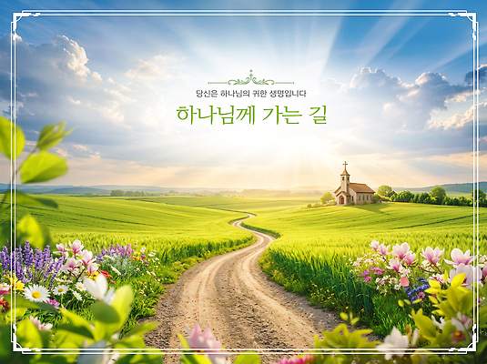 PSD 나무 편집이미지 꽃 길 자연 하늘 풍경 초원 초록색 여름 햇빛 교회 평화 맑음 농촌 하나님 이미지편집 식물 계절 컬러 컨셉 날씨 빛 시골 신 생태계 파일형식