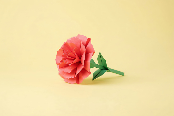 식물 꽃 종이 모션 취미 5월 CG 접기 파일형식 AI콘텐츠 카네이션 종이꽃 만들기 공예 가정의달 편집이미지 편집실사 JPG 색종이 종이접기 AI포토