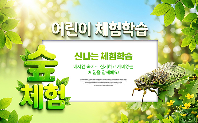 PSD 편집이미지 교육 과학 자연 학습 탐험 체험학습 숲 자연학습 매미 프로그램 이미지편집 곤충 체험 생태계 파일형식