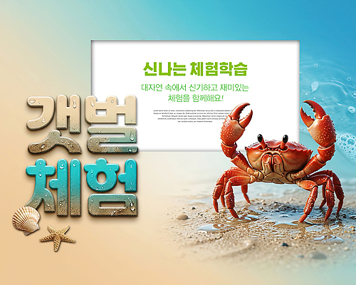 PSD 편집이미지 모래 자연 생물 해변 물 학습 게 체험학습 갯벌 이미지편집 자연요소 교육 바다 갑각류 체험 생태계 파일형식 동물 컨셉