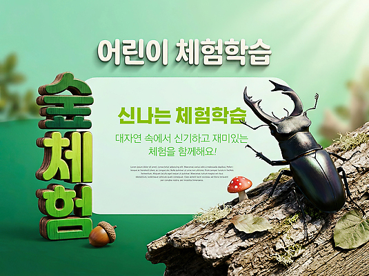 PSD 편집이미지 교육 자연 학습 도전 체험학습 생태 숲 자연학습 사슴벌레 참여 프로그램 이미지편집 곤충 체험 생태계 파일형식