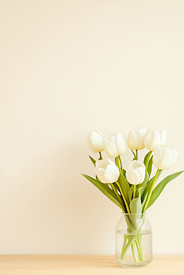 JPG 나무 식물 편집이미지 꽃 유리병 장식 꽃병 튤립 흰색 편집실사 AI포토 AI콘텐츠 컬러 병_용기 CG 파일형식