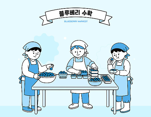 과일 일러스트 탁자 협력 사람 여러명 농장 수확 작업 용기 블루베리 나누기 국내일러스트 AI파일 그릇 가구 다수 농업 파일형식 벡터 식기 산업 생활용품 오브젝트