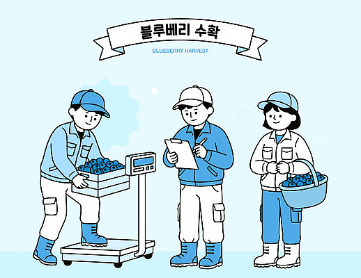 농업 과일 일러스트 협력 사람 농작물 농장 바구니 수확 도구 작업 블루베리 수확철 체크리스트 국내일러스트 AI파일 산업 파일형식 벡터