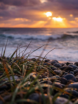 JPG 편집이미지 파도 바다 자연 풍경 잔디 해변 햇빛 태양 돌 바위 저녁 들풀 강원도 수평선 편집실사 AI포토 AI콘텐츠 자연요소 식물 한국 빛 밤 야간 CG 생태계 파일형식 아시아 나라