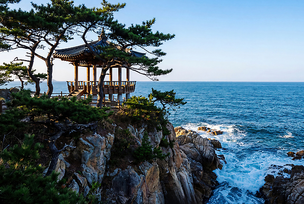 JPG 나무 편집이미지 파도 바다 자연 날씨 풍경 해변 여름 관광지 절벽 바위 정자 강원도 동해 편집실사 AI포토 AI콘텐츠 식물 계절 여행 한국 CG 생태계 파일형식 아시아 나라