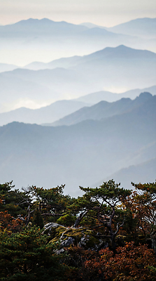 JPG 나무 편집이미지 자연 하늘 산 풍경 일출 정상 조화 경관 산맥 편집실사 AI포토 AI콘텐츠 식물 노을 CG 생태계 파일형식 자연요소