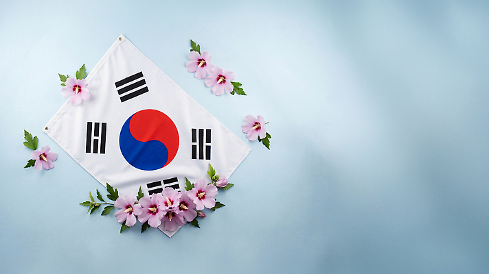 JPG 식물 편집이미지 전통 꽃 문화 화초 상징 한국 장식 국기 태극기 무궁화 애국심 호국보훈의달 편집실사 AI포토 AI콘텐츠 아시아 6월 CG 파일형식 나라 날짜