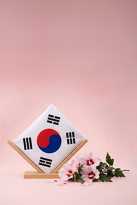 JPG 편집이미지 꽃 문화 예술 상징 한국 장식 국기 태극기 무궁화 애국심 호국보훈의달 편집실사 AI포토 AI콘텐츠 식물 아시아 6월 CG 파일형식 나라 날짜