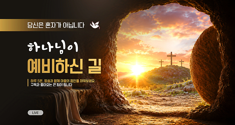템플릿 기독교 종교 길 십자가 교회 믿음 기도 하나님 축복 예배 유튜브 썸네일 이미지템플릿 AI파일 감정 컨셉 신 파일형식 벡터