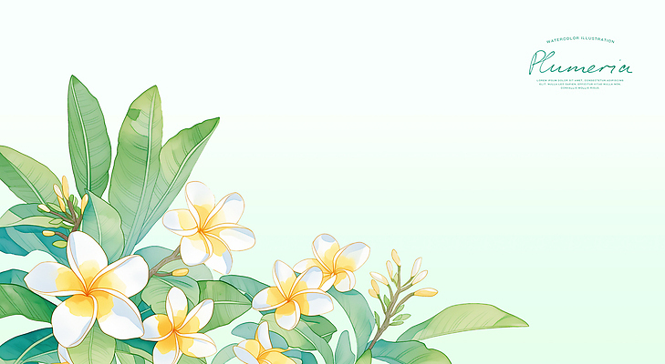 PSD 식물 디자인 화초 백그라운드 잎 일러스트 여름꽃 미술 그림 플루메리아 국내일러스트 꽃 문화예술 여름 파일형식 계절