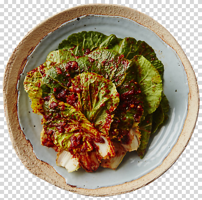 편집이미지 전통 접시 한식 음식 채소 재료 반찬 김치 요리 신선 양념 맛 배추 발효 PNG 식기 컨셉 파일형식