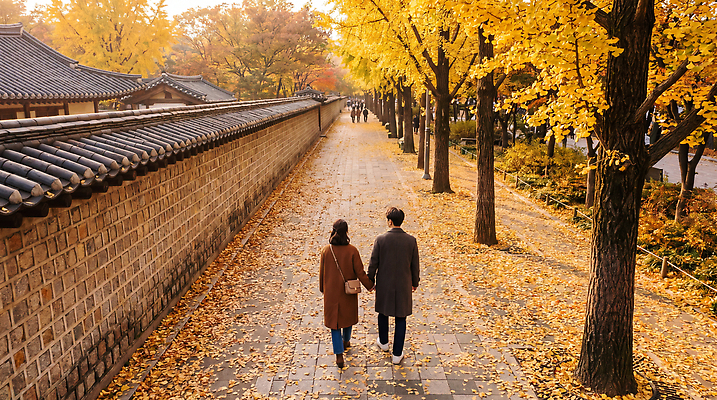 JPG 나무 편집이미지 커플 공원 여자 남자 길 벽 단풍 한옥 사랑 풍경 여러명 걷기 산책 코트 가을 돌담길 의료성형뷰티 편집실사 AI인물포토 AI콘텐츠 식물 한국전통 계절 공공시설 감정 다수 고건축 잎 관계 모션 휴식 돌담 사람 외투 CG 파일형식 AI포토 전통 건축물 컨셉 상의 한국 담장 돌 바위 시설 옷 건축 아시아 나라