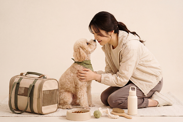 JPG 편집이미지 여자 가방 사랑 반려동물 장난감 귀여움 강아지 물병 애견용품 교감 개밥그릇 애견빗 이동가방 의료성형뷰티 편집실사 AI인물포토 AI콘텐츠 동물 그릇 잡화 감정 컨셉 사람 개 물통 CG 파일형식 반려용품 AI포토 식기 포유류 오브젝트