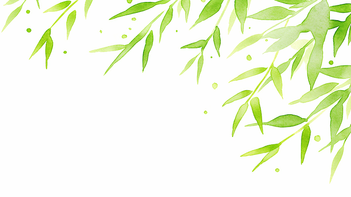 JPG 식물 디자인 예술 백그라운드 잎 일러스트 자연 수채화 미술 초록색 여름 대나무 수목 국내일러스트 AI일러스트 AI콘텐츠 나무 계절 컬러 문화예술 생태계 파일형식