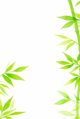 JPG 식물 디자인 예술 백그라운드 잎 일러스트 자연 초록색 대나무 국내일러스트 AI일러스트 AI콘텐츠 나무 컬러 생태계 파일형식
