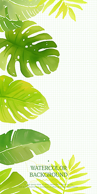 PSD 디자인 백그라운드 일러스트 자연 수채화 장식 초록색 여름 배열 격자 야자수잎 몬스테라 창의력 보테니컬아트 트로피컬아트 국내일러스트 식물 계절 컬러 잎 무늬 그림 생태계 파일형식