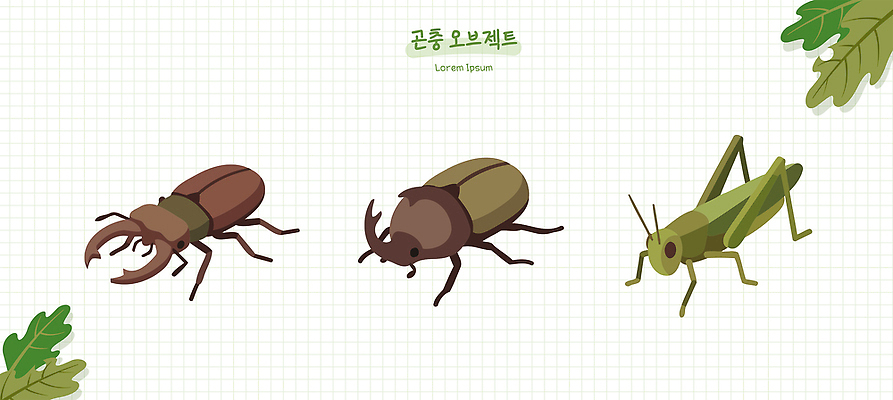 곤충 일러스트 생명 환경 숲 딱정벌레 생태계 생물학 메뚜기 사슴벌레 쇠똥구리 국내일러스트 AI파일 동물 교육 파일형식 벡터