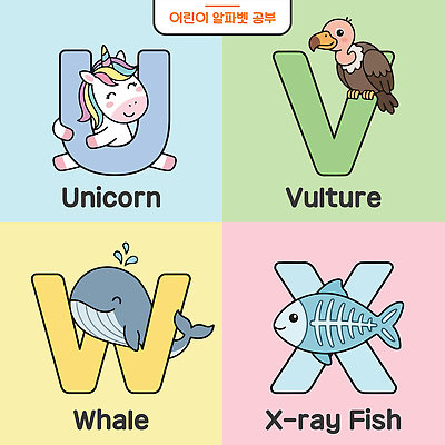 동물 캐릭터 알파벳 영어 어린이교육 교육 일러스트 엑스레이 영어교육 학습 U X 고래 그림 V 독수리 W 영어교실 유니콘 국내일러스트 AI파일 문자 포유류 의학 조류 수업 수중동물 파일형식 벡터