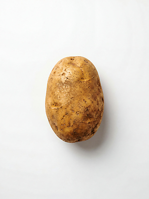 JPG 편집이미지 음식 채소 재료 자연 감자 건강 요리 농작물 신선 흰배경 편집실사 AI포토 AI콘텐츠 농업 흰색 CG 생태계 파일형식 산업 컬러