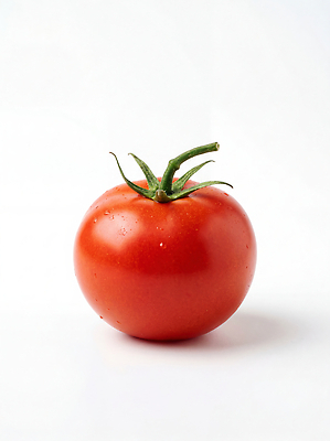 JPG 편집이미지 음식 토마토 채소 재료 자연 건강 요리 농작물 식사 신선 흰배경 편집실사 AI포토 AI콘텐츠 농업 흰색 CG 생태계 파일형식 산업 컬러