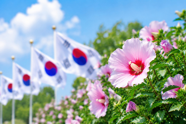 JPG 편집이미지 꽃 꽃밭 한국 풍경 여름 국기 태극기 무궁화 편집실사 AI포토 AI콘텐츠 식물 계절 아시아 CG 파일형식 나라
