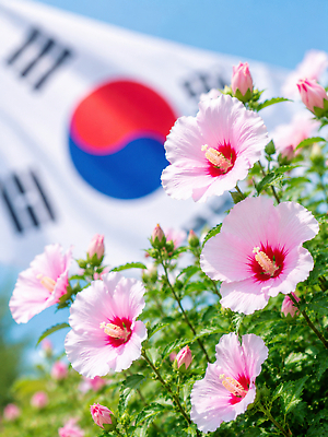 JPG 편집이미지 꽃 분홍색 하늘 한국 풍경 여름 국기 생태 무궁화 편집실사 AI포토 AI콘텐츠 식물 계절 아시아 컬러 CG 파일형식 나라