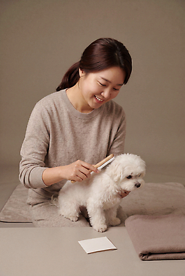 동물 모션 사람 반려동물 감각 개 CG 파일형식 AI포토 여자 강아지 빗질 편안함 편집이미지 편집실사 JPG 반려견 돌봄 AI인물포토 AI콘텐츠 의료성형뷰티